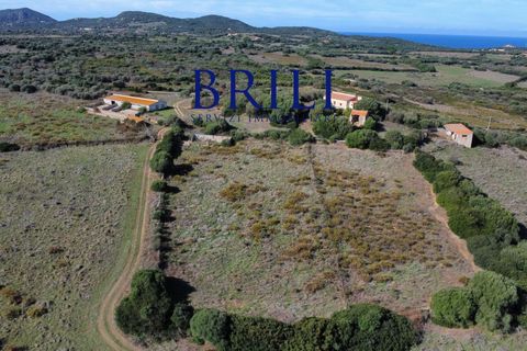Terra a Aglientu, Sassari, Aglientu - € 600.000 | Ref: OT-003GS - foto 18