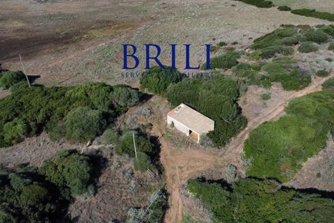 Terra a Aglientu, Sassari, Aglientu - € 600.000 | Ref: OT-003GS - foto 19