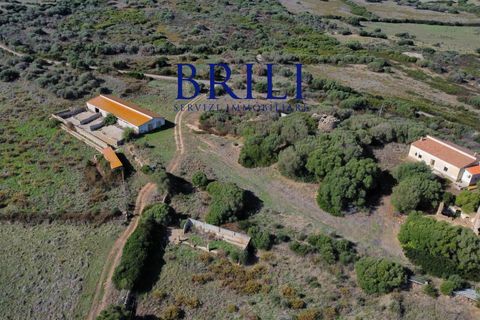 Terra a Aglientu, Sassari, Aglientu - € 600.000 | Ref: OT-003GS - foto 20