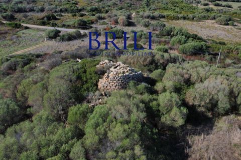 Terra a Aglientu, Sassari, Aglientu - € 600.000 | Ref: OT-003GS - foto 21