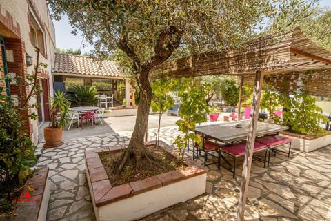 Landejendom i Elna, Pyrenees-Orientales, Elna - € 1.590.000 | Ref: 6637 - foto 6