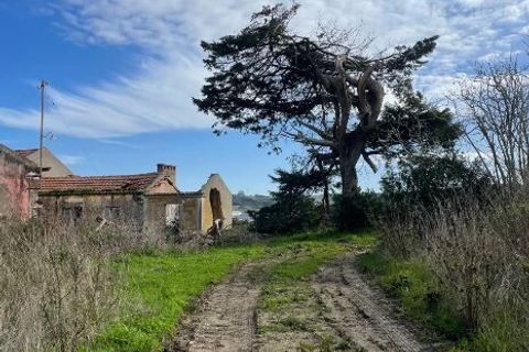 Farm i Matacaes, Lisbon, Matacaes - € 340.000 | Ref: SF-SAFTI:007462 - foto 1
