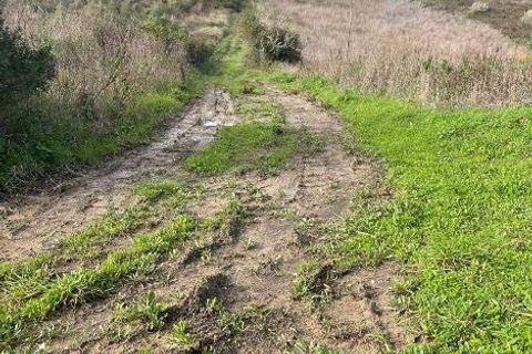 Farm i Matacaes, Lisbon, Matacaes - € 340.000 | Ref: SF-SAFTI:007462 - foto 6