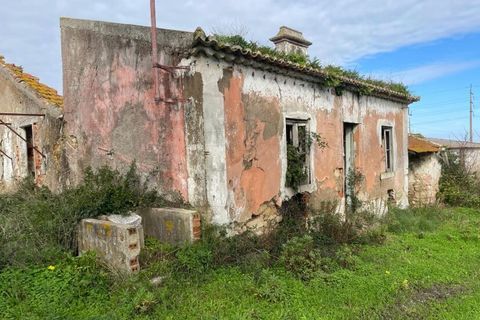 Farm i Matacaes, Lisbon, Matacaes - € 340.000 | Ref: SF-SAFTI:007462 - foto 11