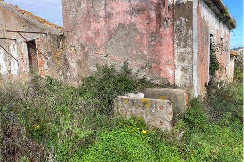 Farm i Matacaes, Lisbon, Matacaes - € 340.000 | Ref: SF-SAFTI:007462 - foto 22