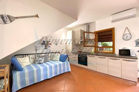 Lejlighed i Cecina, Livorno, Cecina - € 240.000 | Ref: C1046 - foto 20