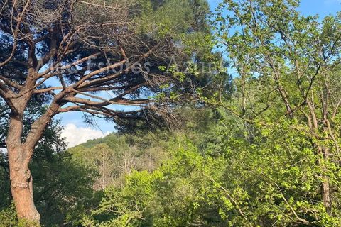 Villa i La Garde-Freinet, Var, La Garde-Freinet - € 880.000 | Ref: 85458189 - foto 17