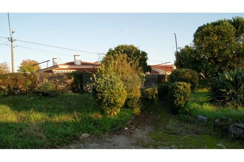 Farm i Braga, Braga, Braga - € 900.000 | Ref: MAS_1535 - foto 3