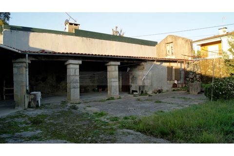 Farm i Braga, Braga, Braga - € 900.000 | Ref: MAS_1535 - foto 5
