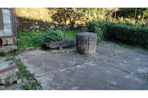 Farm i Braga, Braga, Braga - € 900.000 | Ref: MAS_1535 - foto 16