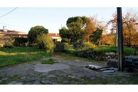 Farm i Braga, Braga, Braga - € 900.000 | Ref: MAS_1535 - foto 17