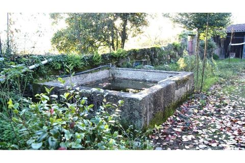 Farm i Braga, Braga, Braga - € 900.000 | Ref: MAS_1535 - foto 34