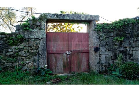 Farm i Braga, Braga, Braga - € 900.000 | Ref: MAS_1535 - foto 35
