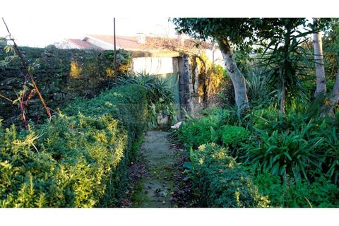 Farm i Braga, Braga, Braga - € 900.000 | Ref: MAS_1535 - foto 36