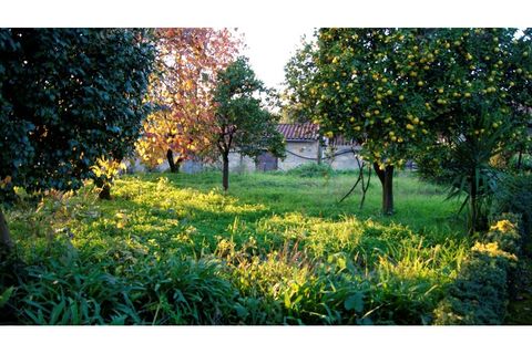 Farm i Braga, Braga, Braga - € 900.000 | Ref: MAS_1535 - foto 37
