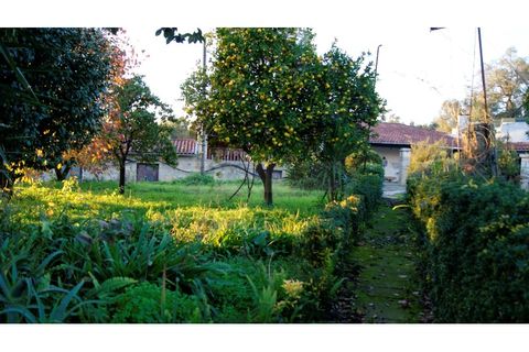 Farm i Braga, Braga, Braga - € 900.000 | Ref: MAS_1535 - foto 38