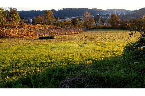 Farm i Braga, Braga, Braga - € 900.000 | Ref: MAS_1535 - foto 39