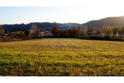 Farm i Braga, Braga, Braga - € 900.000 | Ref: MAS_1535 - foto 40