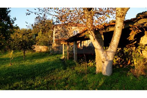 Farm i Braga, Braga, Braga - € 900.000 | Ref: MAS_1535 - foto 41