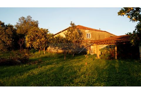 Farm i Braga, Braga, Braga - € 900.000 | Ref: MAS_1535 - foto 42