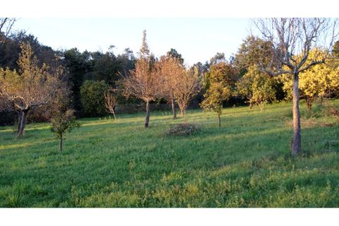 Farm i Braga, Braga, Braga - € 900.000 | Ref: MAS_1535 - foto 43