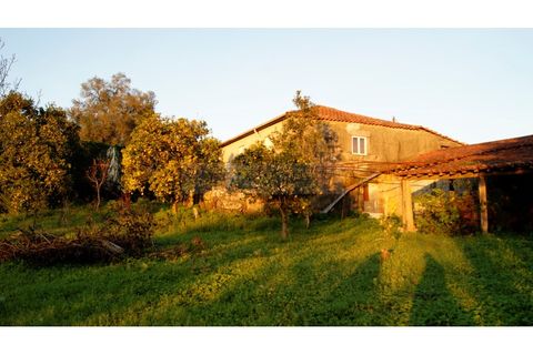 Farm i Braga, Braga, Braga - € 900.000 | Ref: MAS_1535 - foto 45