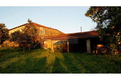 Farm i Braga, Braga, Braga - € 900.000 | Ref: MAS_1535 - foto 46