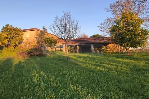 Farm i Braga, Braga, Braga - € 900.000 | Ref: MAS_1535 - foto 47
