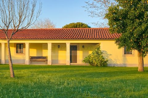 Farm i Braga, Braga, Braga - € 900.000 | Ref: MAS_1535 - foto 48