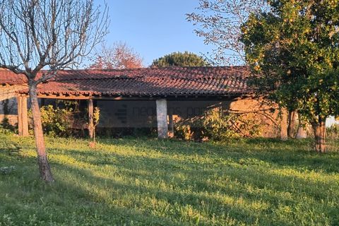 Farm i Braga, Braga, Braga - € 900.000 | Ref: MAS_1535 - foto 49