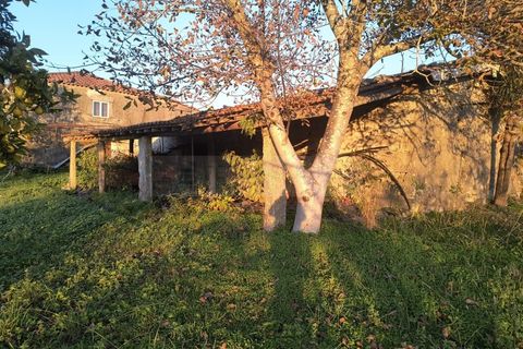 Farm i Braga, Braga, Braga - € 900.000 | Ref: MAS_1535 - foto 50