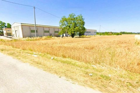 Helårsgrund i Monte Roberto, Ancona, Monte Roberto - € 960.000 | Ref: 2537333 - foto 4
