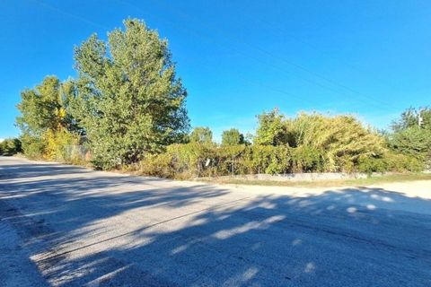 Terra a Monte Roberto, Ancona, Monte Roberto - € 588.000 | Ref: 2537332 - foto 2