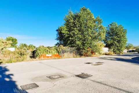 Terra a Monte Roberto, Ancona, Monte Roberto - € 588.000 | Ref: 2537332 - foto 4