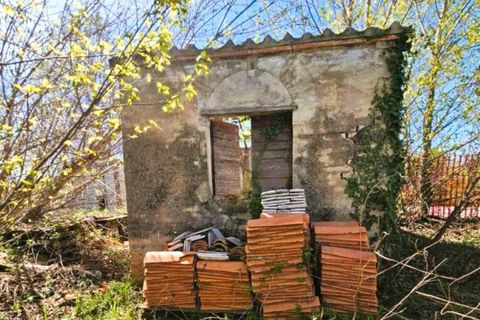 Terra a Monte Roberto, Ancona, Monte Roberto - € 588.000 | Ref: 2537332 - foto 5
