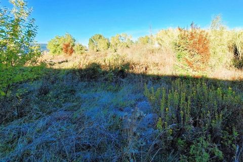 Terra a Monte Roberto, Ancona, Monte Roberto - € 588.000 | Ref: 2537332 - foto 6