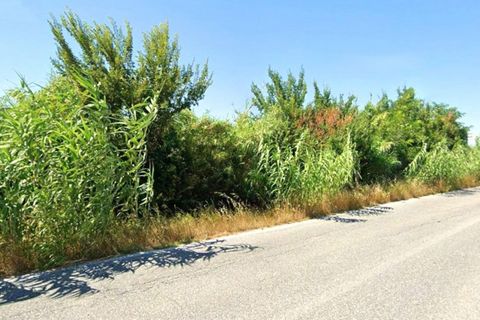 Terra a Monte Roberto, Ancona, Monte Roberto - € 588.000 | Ref: 2537332 - foto 7