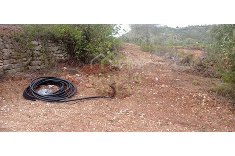 Helårsgrund i Estoi, Faro, Estoi - € 92.000 | Ref: TER_2611_VEND - foto 5