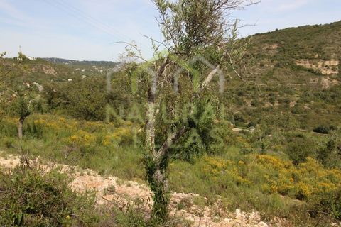 Helårsgrund i Estoi, Faro, Estoi - € 92.000 | Ref: TER_2611_VEND - foto 6