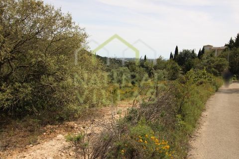 Helårsgrund i Estoi, Faro, Estoi - € 92.000 | Ref: TER_2611_VEND - foto 7