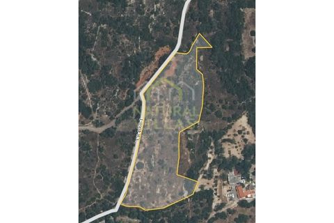 Helårsgrund i Estoi, Faro, Estoi - € 92.000 | Ref: TER_2611_VEND - foto 8