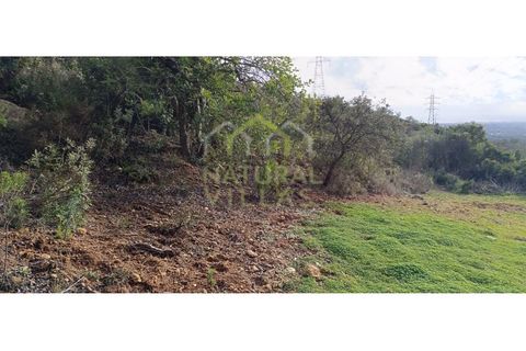 Helårsgrund i Estoi, Faro, Estoi - € 45.000 | Ref: TER_2950_VEND - foto 3