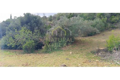 Helårsgrund i Estoi, Faro, Estoi - € 45.000 | Ref: TER_2950_VEND - foto 2