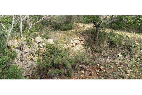 Helårsgrund i Estoi, Faro, Estoi - € 45.000 | Ref: TER_2950_VEND - foto 4