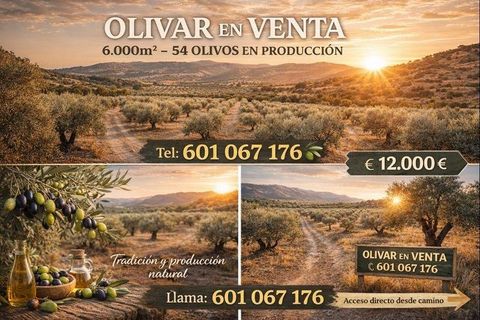 Terra a Santisteban Del Puerto, Jaen - foto 1