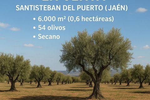 Terra a Santisteban Del Puerto, Jaen - foto 5