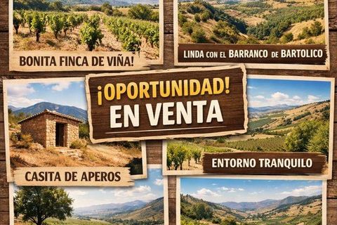 Terreno Frailes, Jaen, Frailes - € 7.000 | Ref: finca/5750 - photo 2