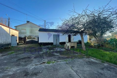 Villa i Viana do Castelo, Viana do Castelo, Viana do Castelo - € 265.000 | Ref: CAS_51 - foto 13