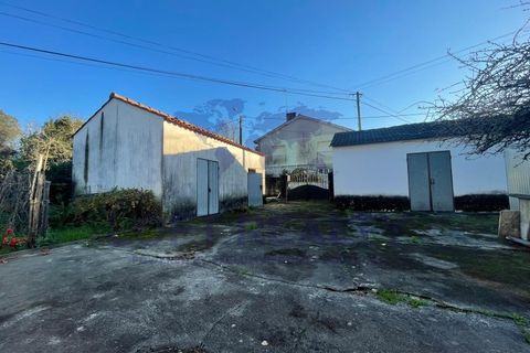 Villa i Viana do Castelo, Viana do Castelo, Viana do Castelo - € 265.000 | Ref: CAS_51 - foto 14