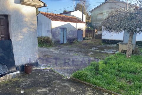 Villa i Viana do Castelo, Viana do Castelo, Viana do Castelo - € 265.000 | Ref: CAS_51 - foto 15